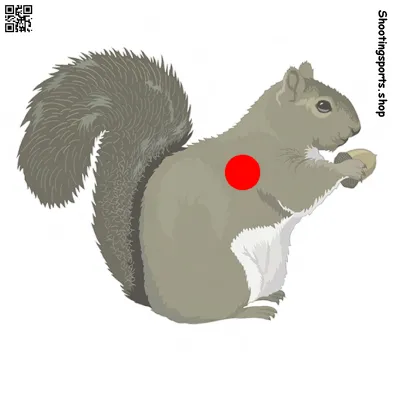 [SSSTGT0020b] Squirrel Target - Paper 14cm x 14cm (1)