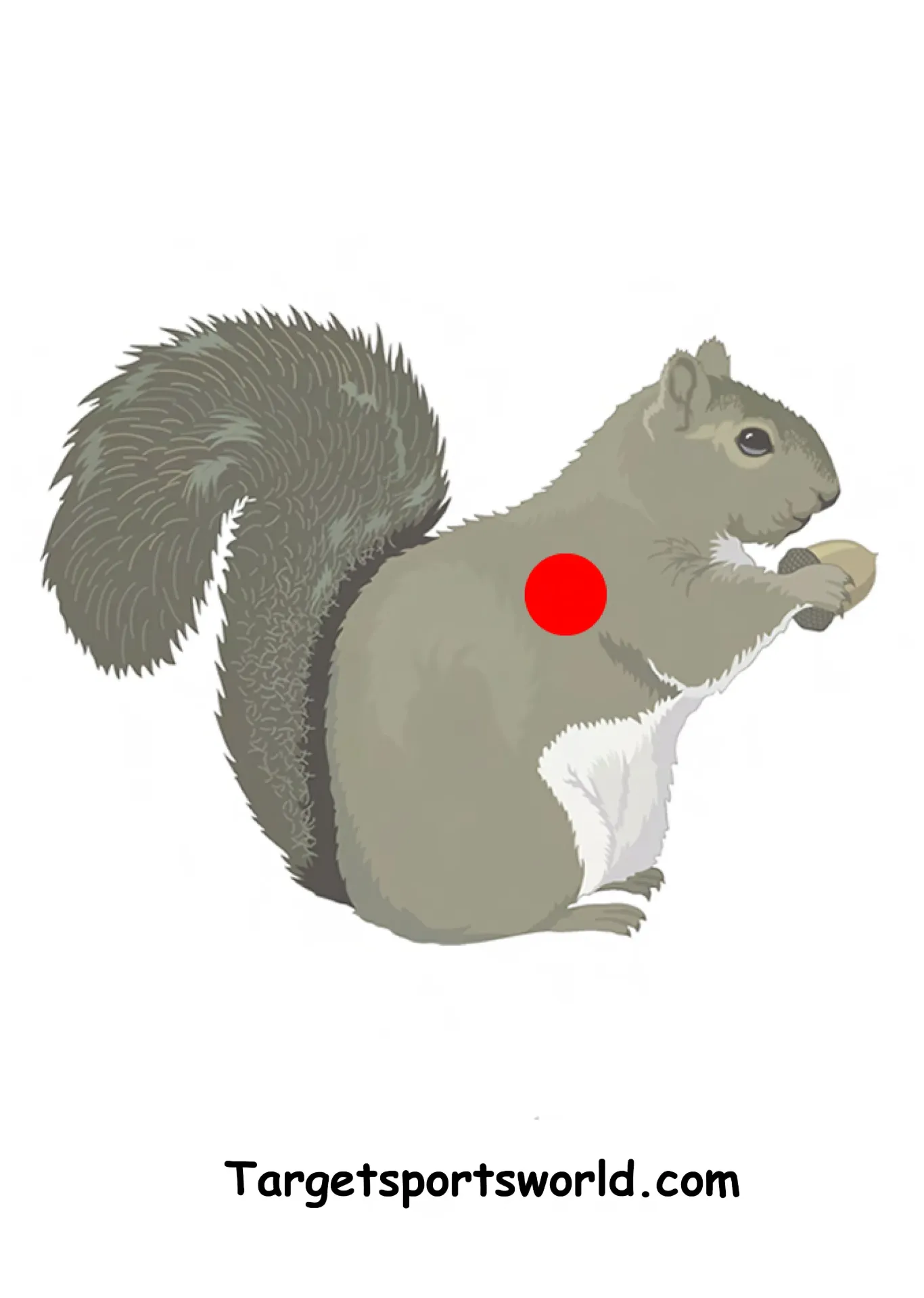 Squirrel Targets - Paper A4 Packs